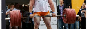 SSM2012stissemark