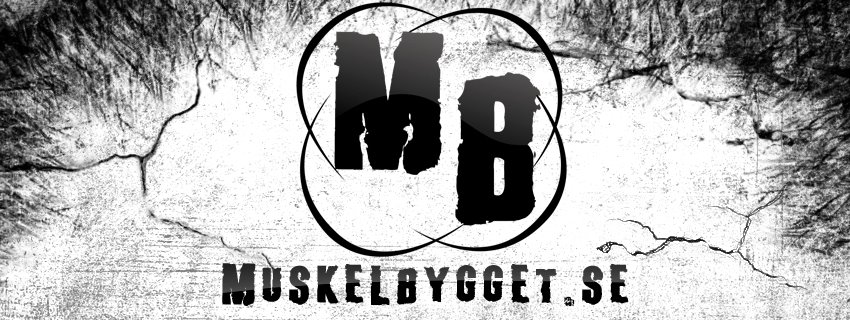 muskelbygget